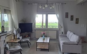 Hill View 4
